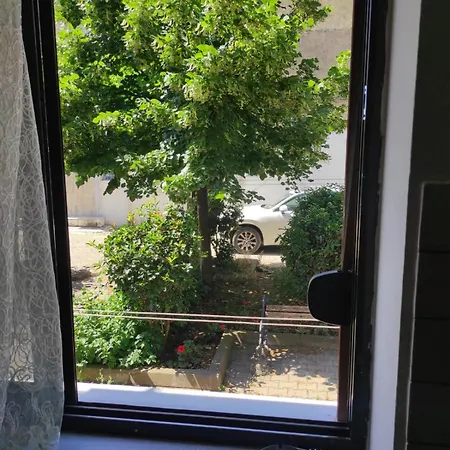 Ground-floor Near Center Apartment Tirana